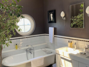 belvedere folly bathroom